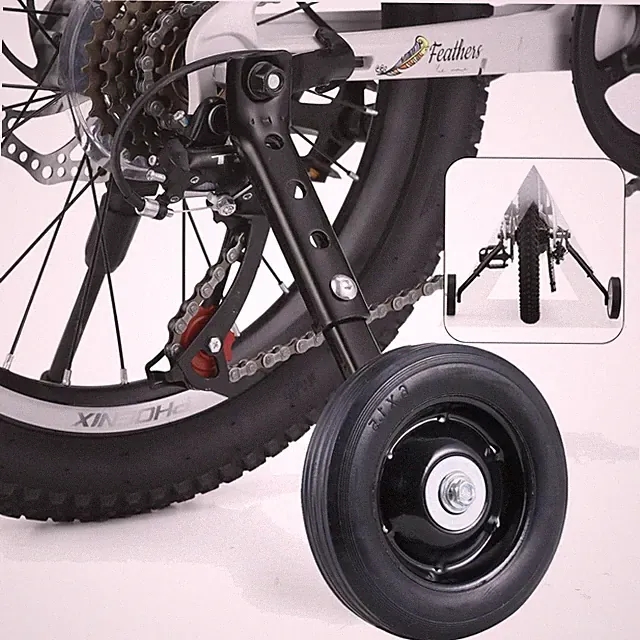 24" Bike Training Wheels for Multi-Speed Bikes