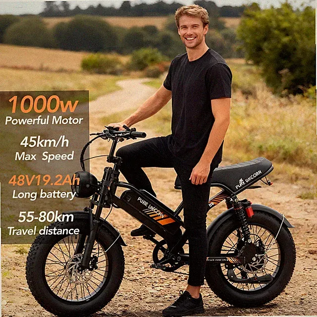 PURE UNICORN U5 1000W 48V19.2AH Fat Tire Mountain Electric Bike long distance